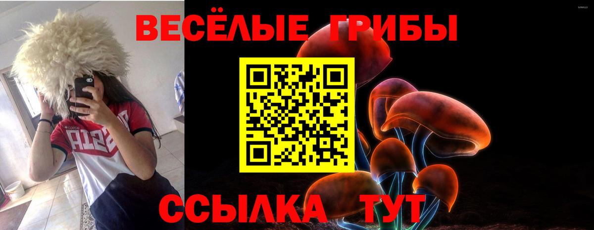 Галлюциногенные грибы Psilocybe  Галлюциногенные грибы прущие грибы  Вход с VPN  Шелехов 